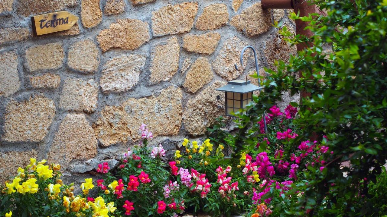 Hotel Rural San Miguel - Only Adults San Miguel de Abona Dış mekan fotoğraf